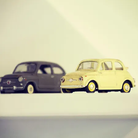 게스트하우스 B&biscuit 니첼리노